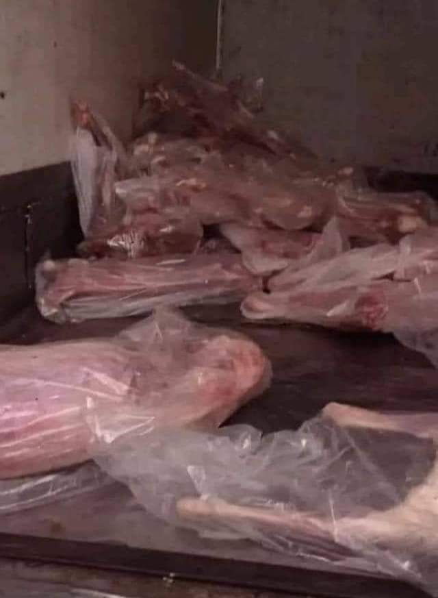 القبض على صاحب محل جزارة لاتهامه ببيع لحوم الكلاب