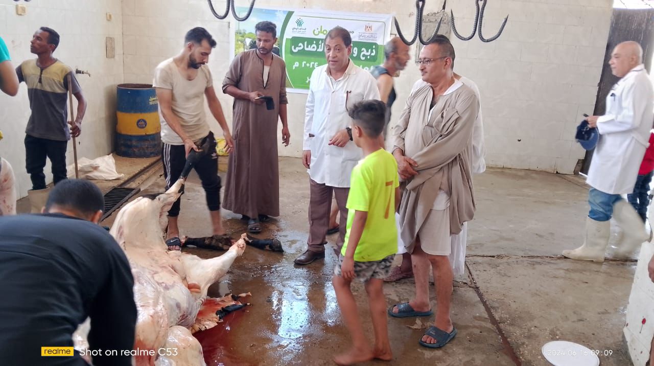 مجازر الأقصر تواصل أعمال نحر الأضاحي