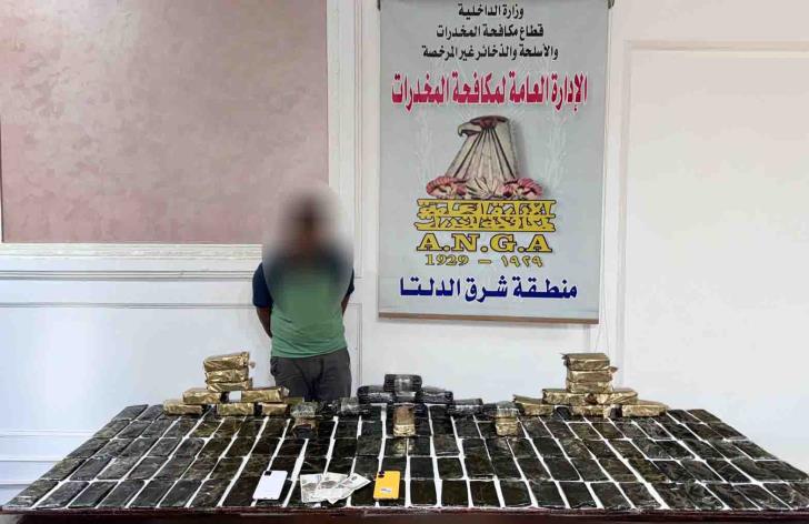 ضبط�عنصرين إجراميين بحوزتهما مخدرات