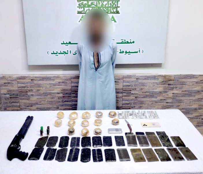ضبط عنصرين إجراميين في الغربية وأسيوط