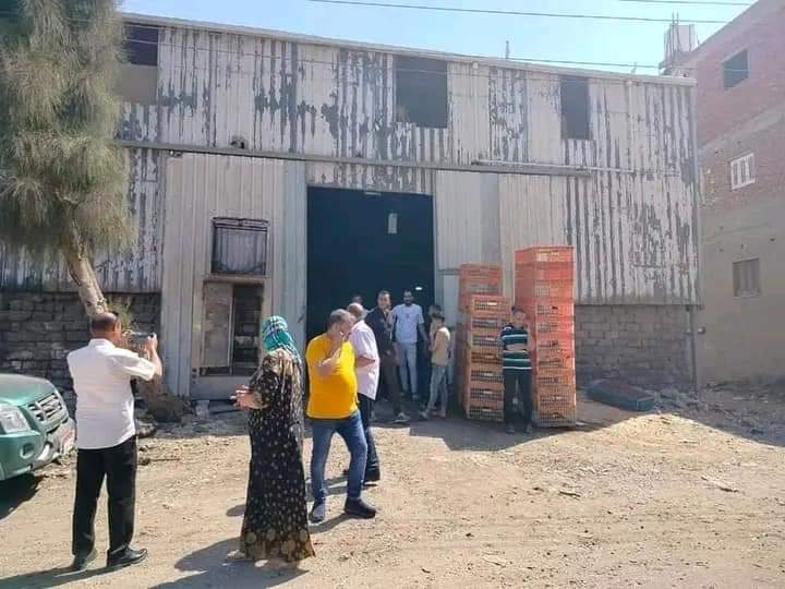 دواجن غير صالحة