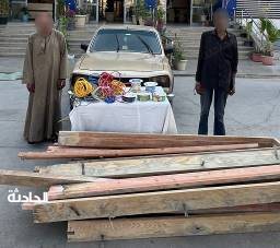 حرامية سرقة السيارات والمساكن بالقاهرة