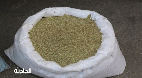 اقتحام أوكار الكيف بالقليوبية