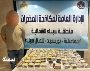 سقوط 9 عناصر إجرامية