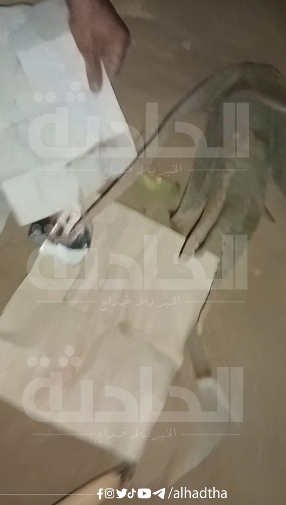 سحر لـ مؤمن زكريا مدفون في المقابر