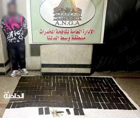 سقوط عناصر إجراميه بحوزتهم 350 طربة حشيش