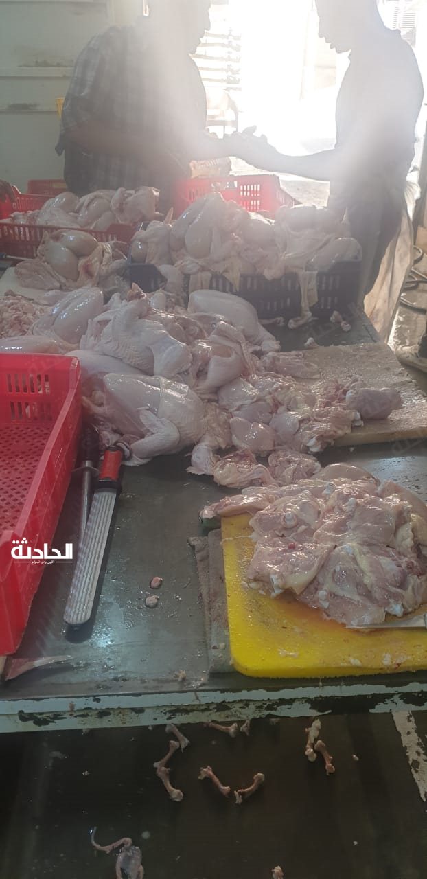 ضبط 7 طن لحوم ودواجن غير صالحة للاستهلاك الآدمي بالجيزة