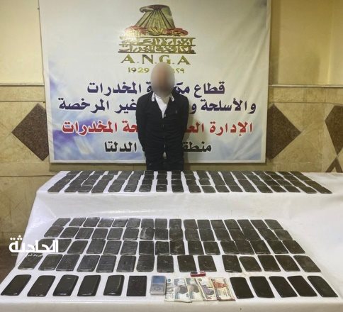 ضبط عنصرين إجراميين لحيازة مخدرات