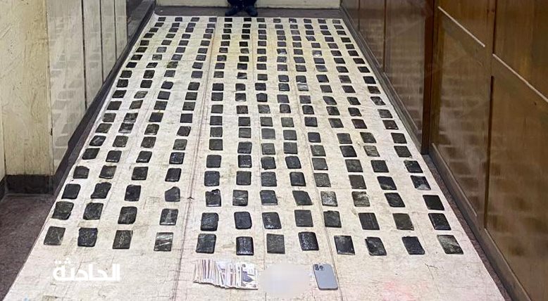 ضبط 3 عناصر لتجارة الحشيش بالبحيرة والإسكندرية