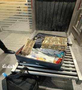 مطار برج العرب