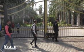 الجامعات