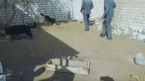 الحادثة