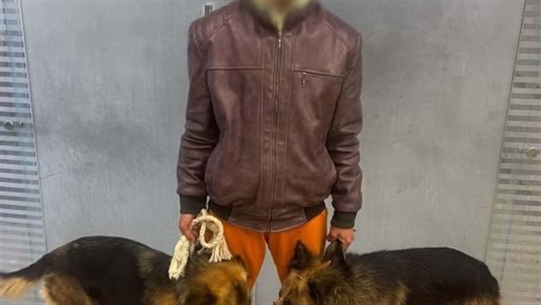 الحادثة