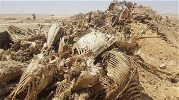 الحادثة