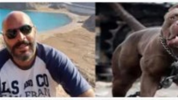 الحادثة