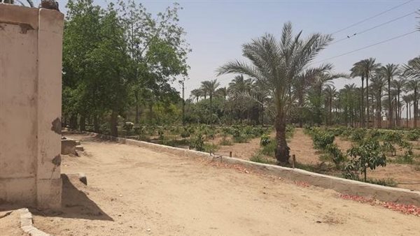 الحادثة