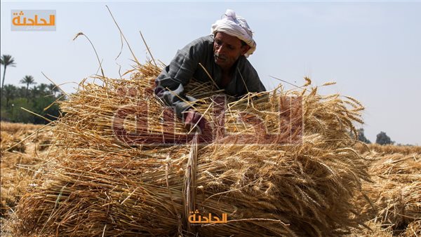 الحادثة
