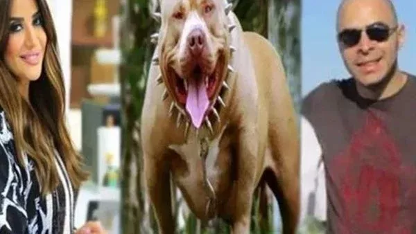 الحادثة