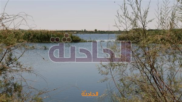 الحادثة