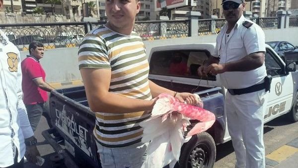 الحادثة