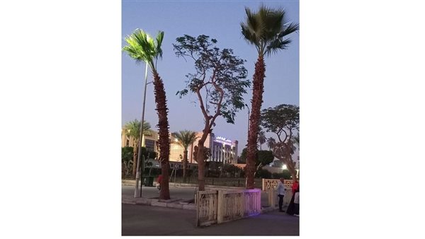 الحادثة