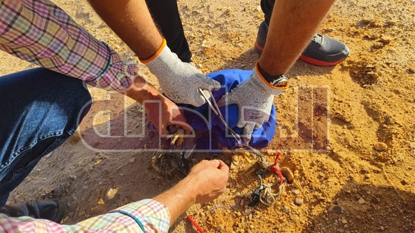 الحادثة