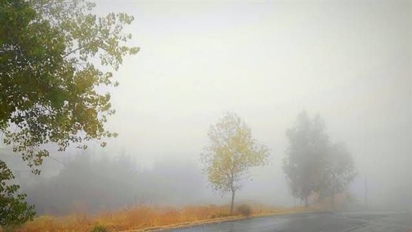 الحادثة