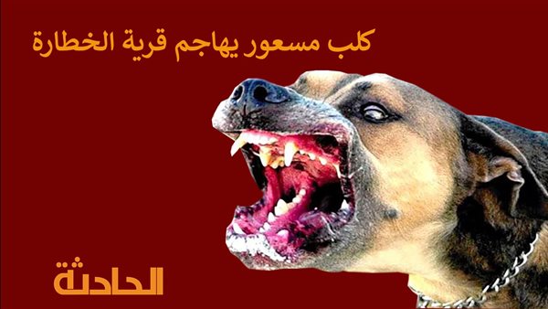 الحادثة