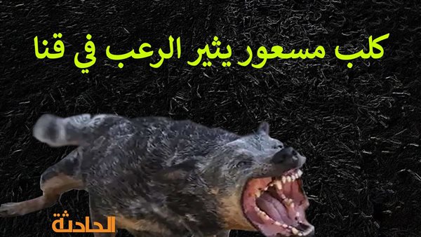 الحادثة