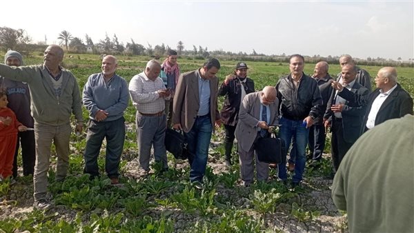 الحادثة