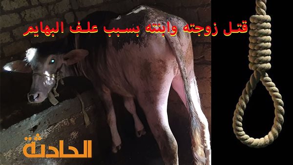 الحادثة