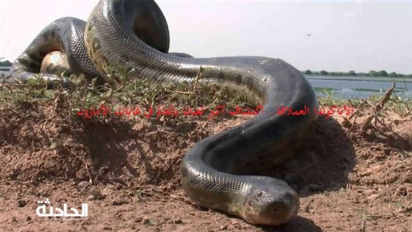 الحادثة