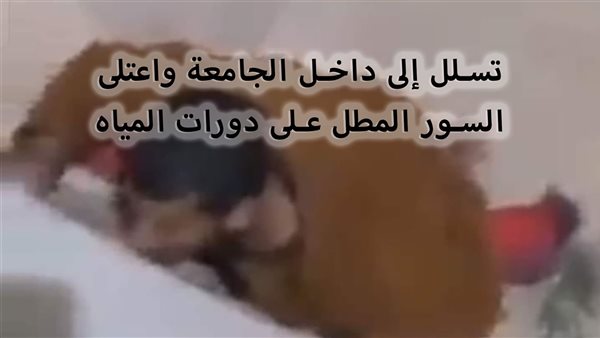 الحادثة