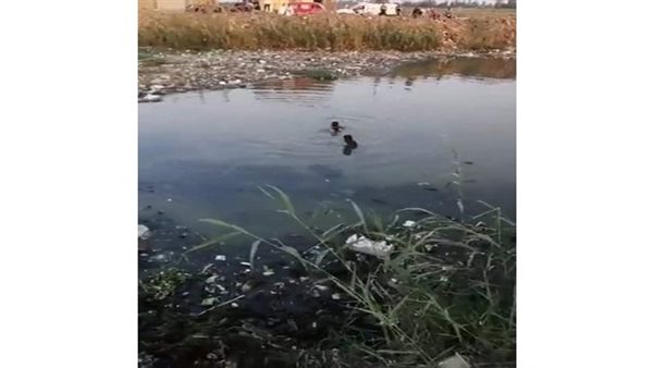 الحادثة