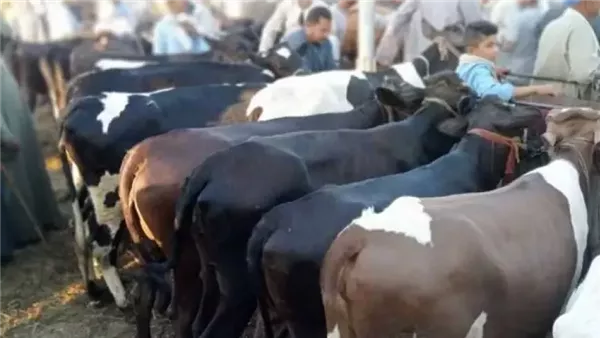 الحادثة