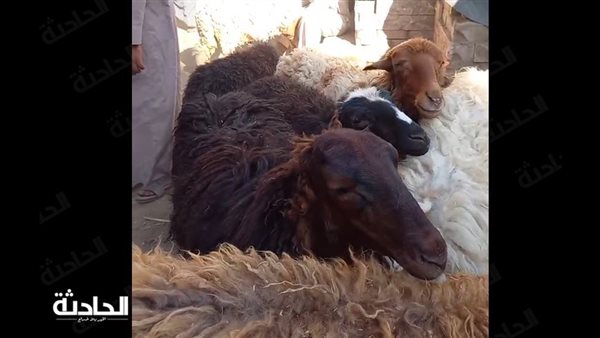 الحادثة