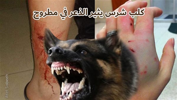 الحادثة