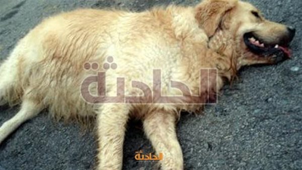 الحادثة