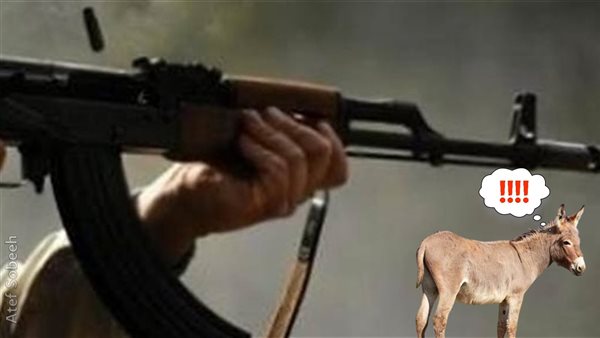 الحادثة