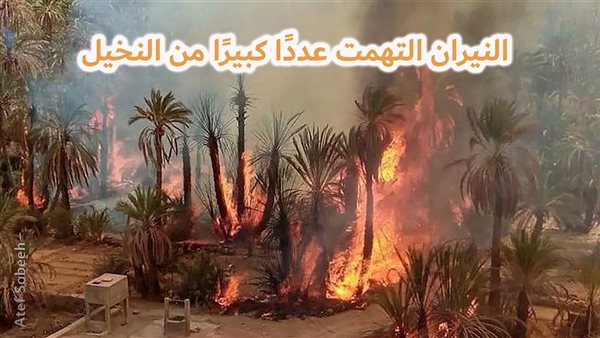 الحادثة