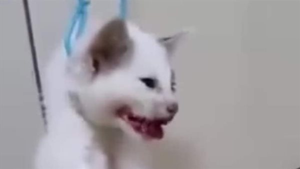 الحادثة
