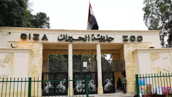 الحادثة