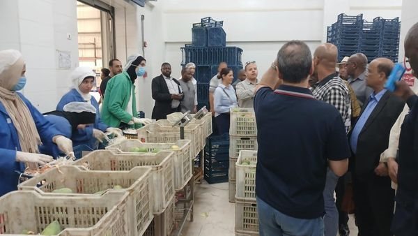 الحادثة