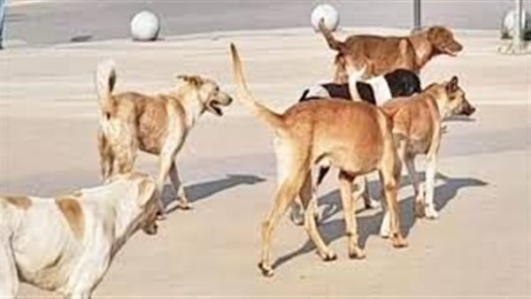 الحادثة