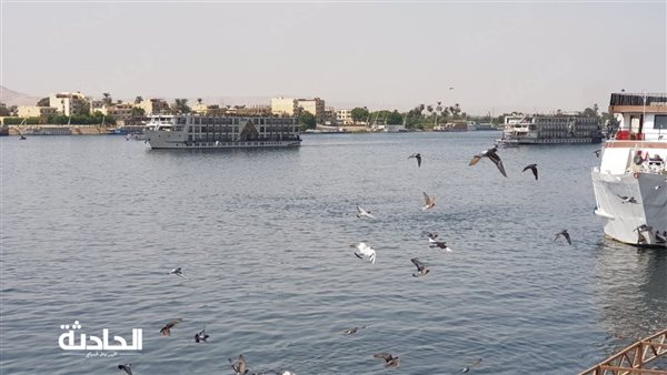 الحادثة