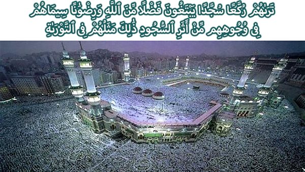 الحادثة