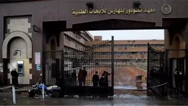 الحادثة