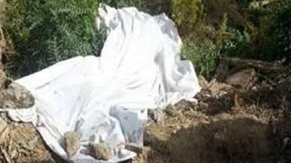 الحادثة