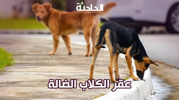 الحادثة