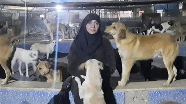 الحادثة